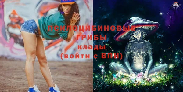 мет Арсеньев