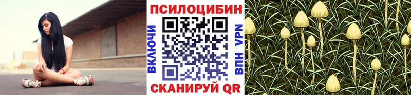 Галлюциногенные грибы Magic Shrooms  наркота  Покров 
