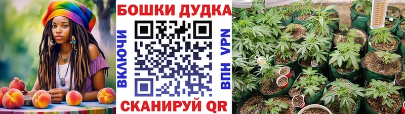 Бошки Шишки сатива  Покров 